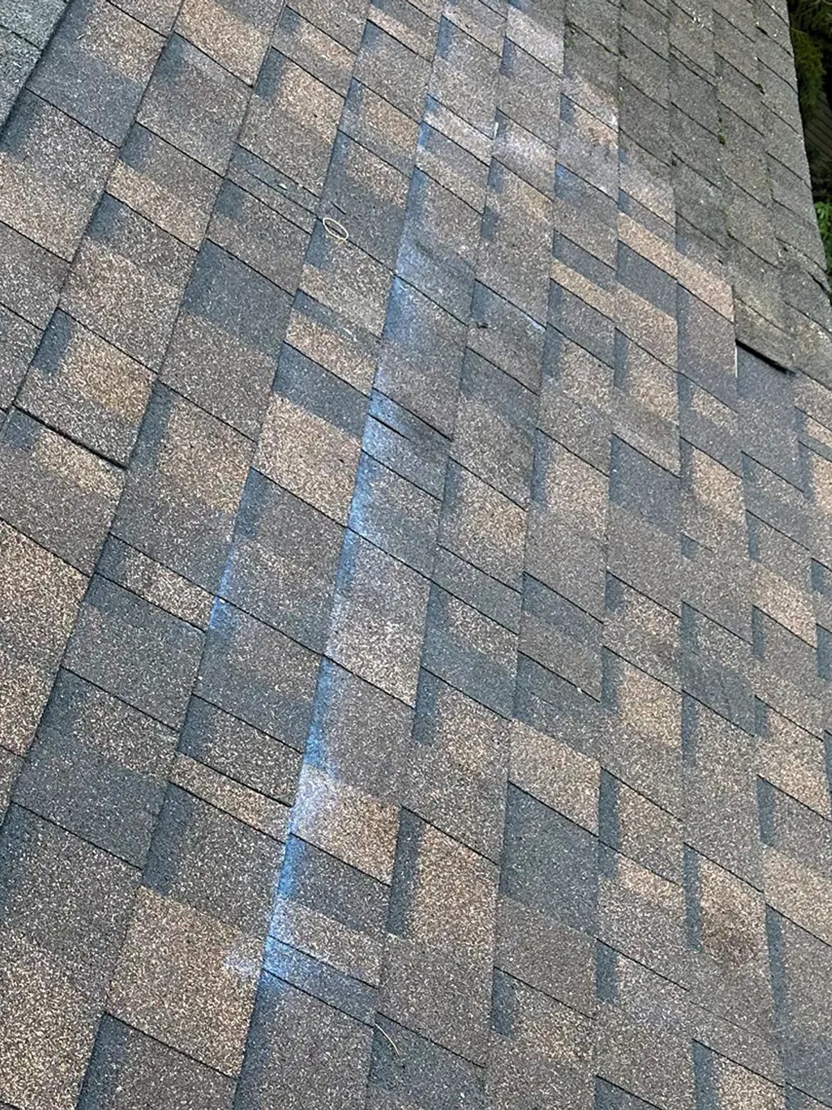 Roof Rejuvenation