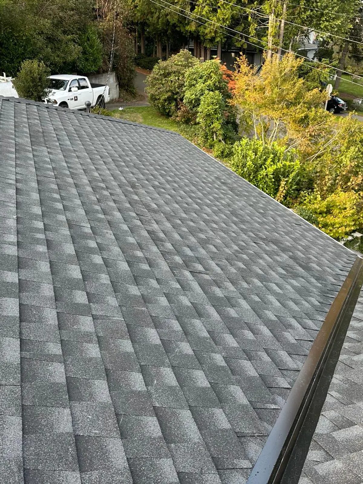 Roof Cleaning