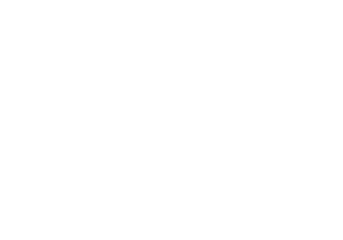Best Choice 