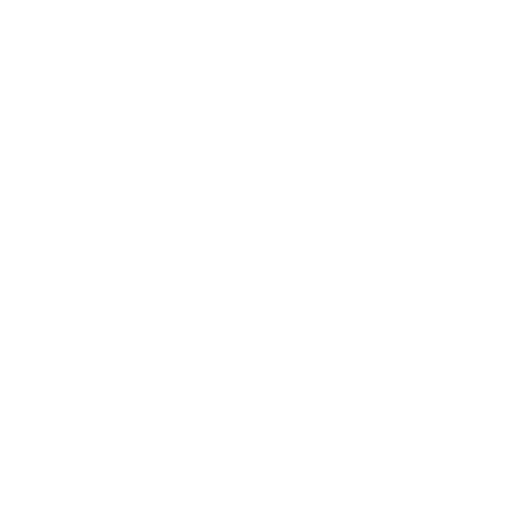 The Flooring Pro
