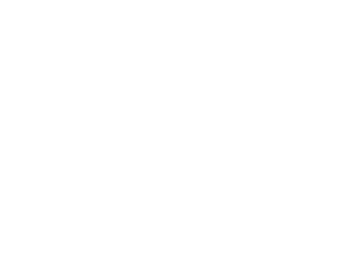 TW Solutions Services